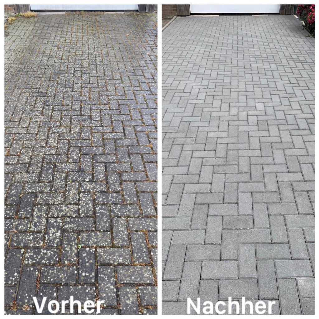 WhatsApp Image 2021-01-28 at 12.06.26 (1)